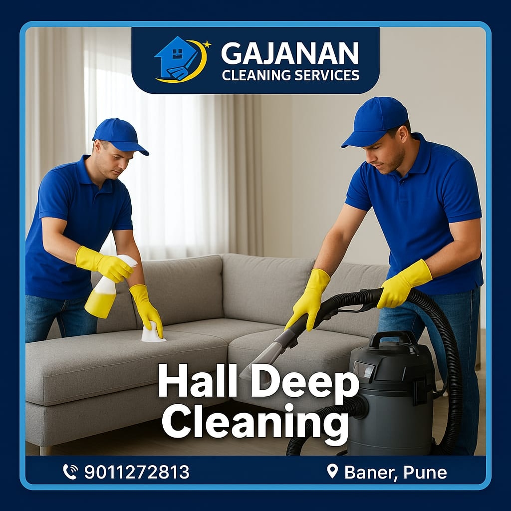 Living Room Cleaning